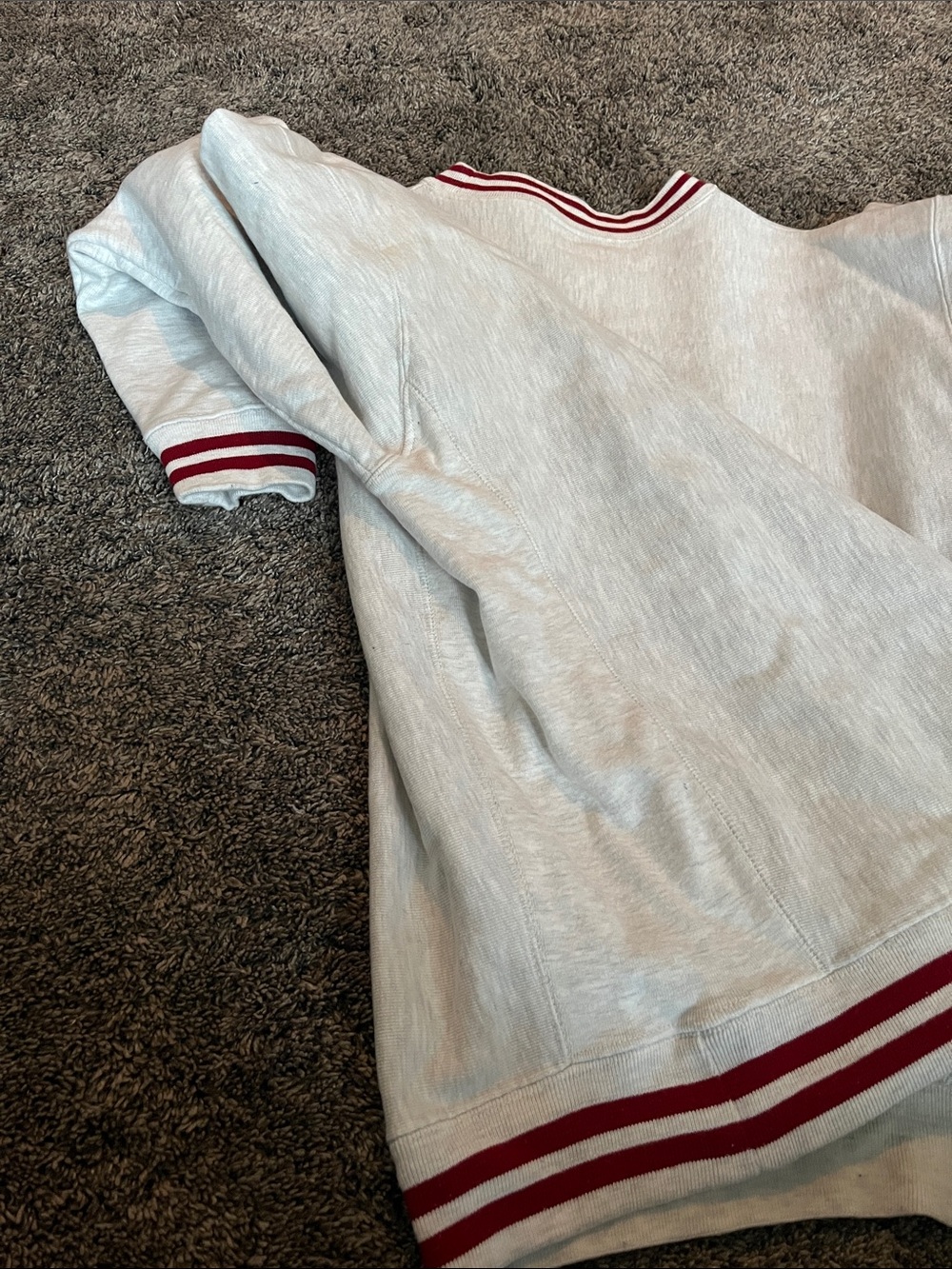 Champion Crewneck Sweatshirt in Light Gray with Red MIT Lettering. Large. - Picture 6 of 12